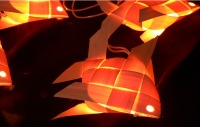 palm fish kids light_sml.jpg